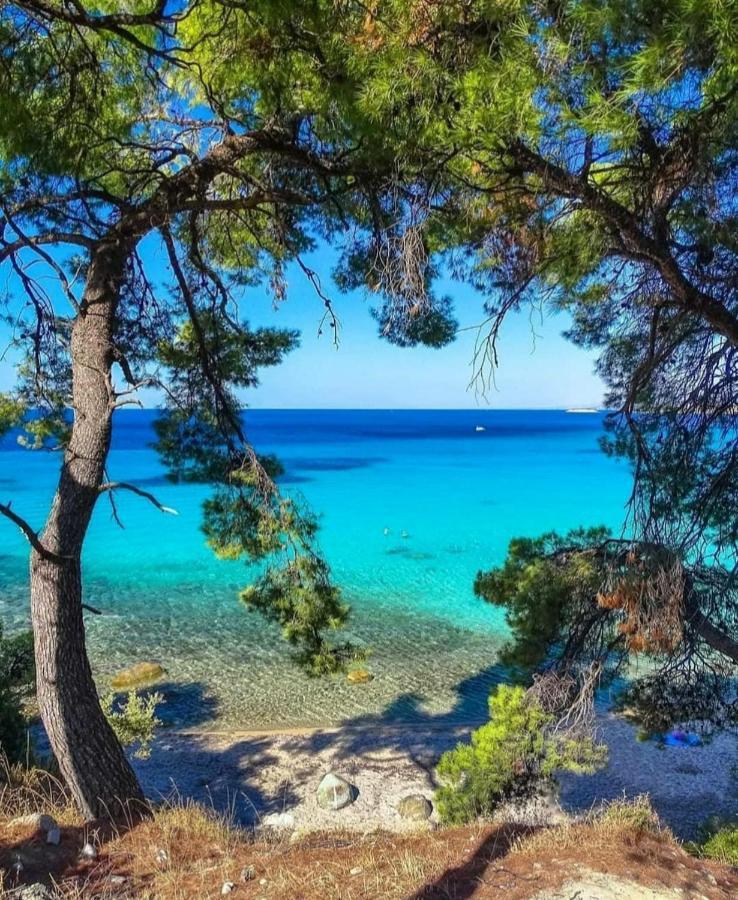Agrili Apartments & Rooms Ελιά Εξωτερικό φωτογραφία