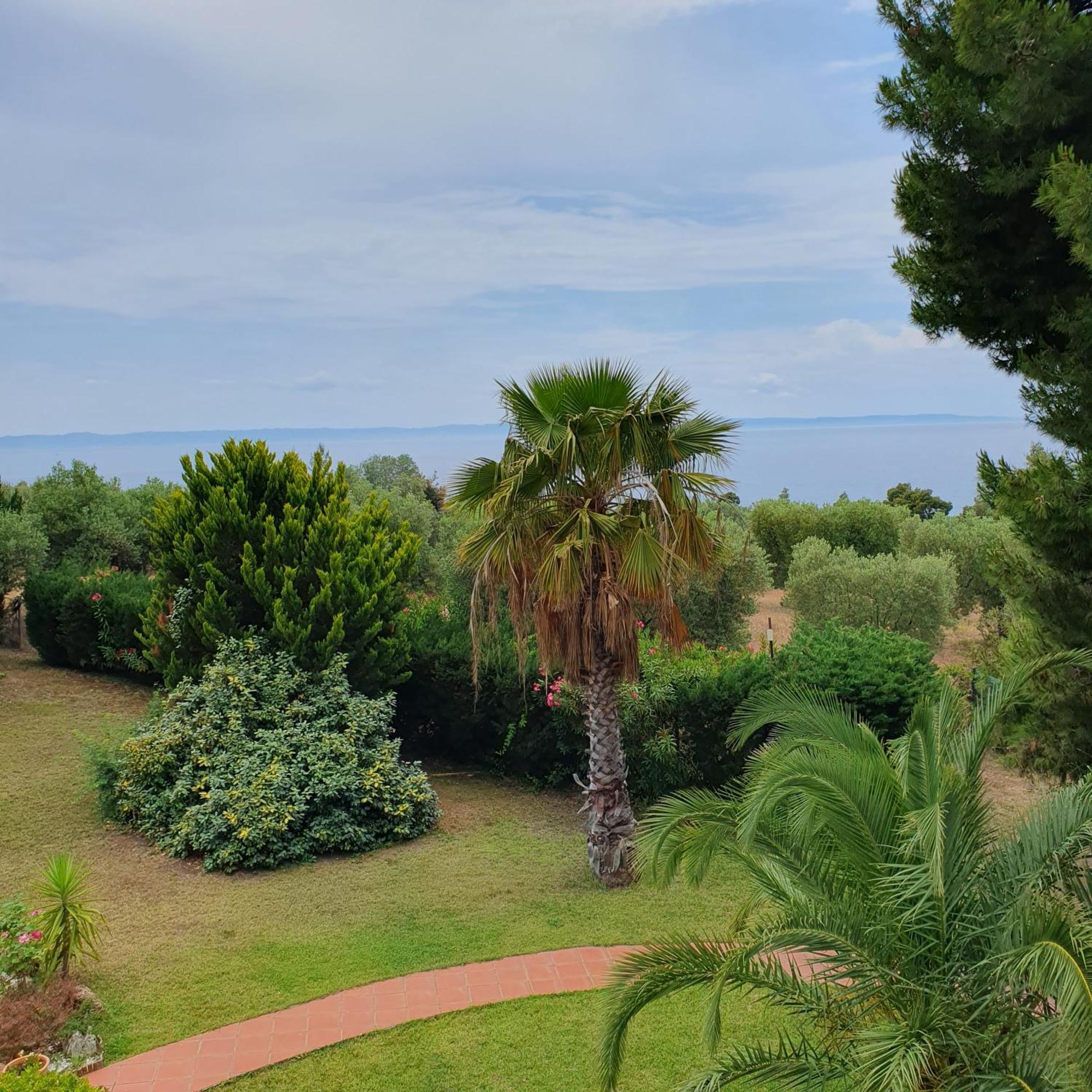 Agrili Apartments & Rooms Ελιά Εξωτερικό φωτογραφία