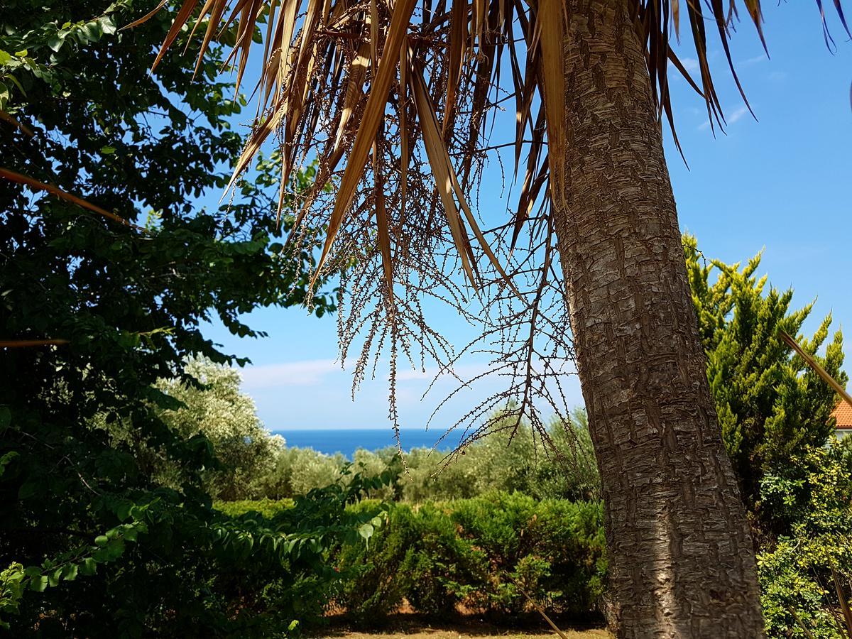 Agrili Apartments & Rooms Ελιά Εξωτερικό φωτογραφία